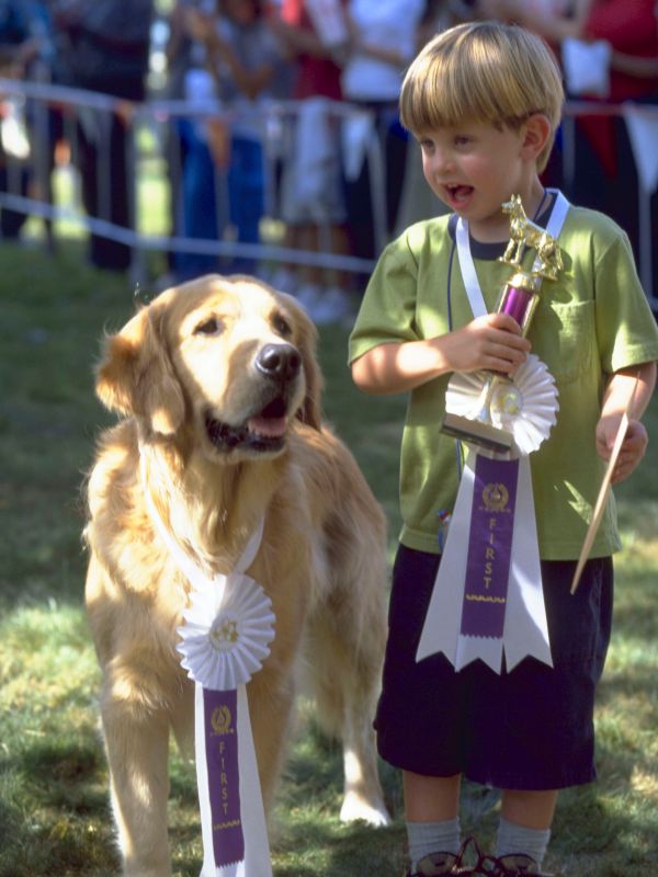 Air Bud Spikes Back on AllMovie